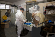 Purification of the COVID dead in Israel
