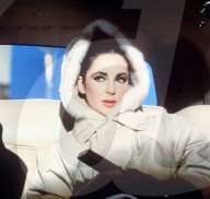 PORTRAIT - Hollywood Photo Archive