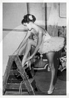 PORTRAIT - Hollywood Photo Archive
