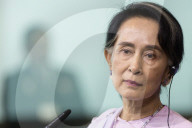 Suu Kyi rejects UN Myanmar probe