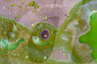 FEATURE -  Malerische Sumpfgebiete in Huai' An, China 
