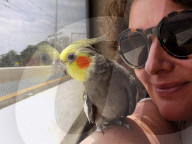 FEATURE - Er hat seinen 100. Geburtstag noch erlebt: Sparrow Townsend erinnert sich an ihren geliebten Kakadu
