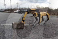 FEATURE - Roboter-Hund ist mit einem Arm noch vielseitiger einsetzbar