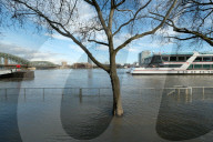 NEWS - Hochwasser in NRW: Rheinpegel steigt weiter