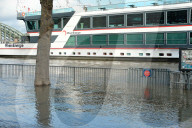 NEWS - Hochwasser in NRW: Rheinpegel steigt weiter