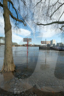 NEWS - Hochwasser in NRW: Rheinpegel steigt weiter