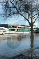 NEWS - Hochwasser in NRW: Rheinpegel steigt weiter