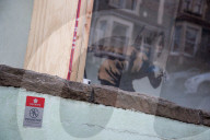 FEATURE - Fast wie im Louvre: Neues Banksy Wandgemälde in Bristol bekommt ein Schutz vor Vandalismus