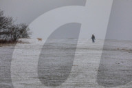Strong winds and snow for the South East this moring as Storm Darcy contiues to cause chaos.