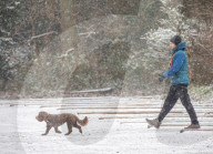 Strong winds and snow for the South East this moring as Storm Darcy contiues to cause chaos.