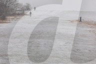 Strong winds and snow for the South East this moring as Storm Darcy contiues to cause chaos.