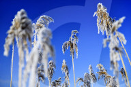 FEATURE - Hamburg - ein Wintermärchen
