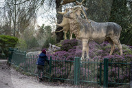 Crystal Palace Park Dinosaurs