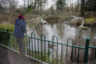 Crystal Palace Park Dinosaurs