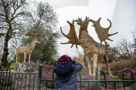 Crystal Palace Park Dinosaurs