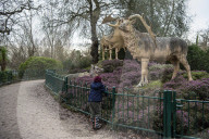 Crystal Palace Park Dinosaurs