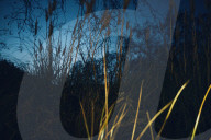 Abstract moments of light in lockdown in the UK.