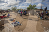 Four chicken heads a dollar: how one Harare grandmother scratches a living in lockdown