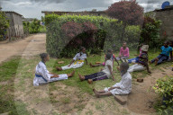 Four chicken heads a dollar: how one Harare grandmother scratches a living in lockdown