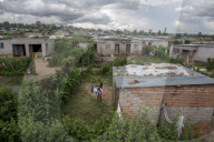 Four chicken heads a dollar: how one Harare grandmother scratches a living in lockdown