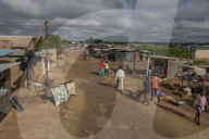Four chicken heads a dollar: how one Harare grandmother scratches a living in lockdown