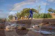 Four chicken heads a dollar: how one Harare grandmother scratches a living in lockdown