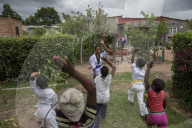 Four chicken heads a dollar: how one Harare grandmother scratches a living in lockdown