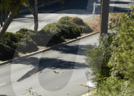 Tiger Woods car crash