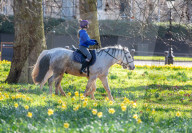 Londoners bask in unseasonally warm weather as UK Covid-19 threat level lowered