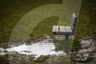 Muddy lockdown walks and daily exercise in and around London