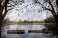 Muddy lockdown walks and daily exercise in and around London