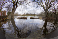 Muddy lockdown walks and daily exercise in and around London