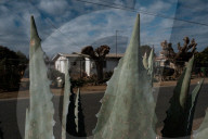 'It's a toxic blend': where the kids are warned not to swallow the bath water. Predominantly Latino towns in California like East Orosi face huge obstacles getting clean drinking water