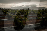 'It's a toxic blend': where the kids are warned not to swallow the bath water. Predominantly Latino towns in California like East Orosi face huge obstacles getting clean drinking water
