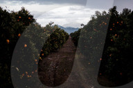 'It's a toxic blend': where the kids are warned not to swallow the bath water. Predominantly Latino towns in California like East Orosi face huge obstacles getting clean drinking water