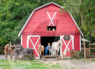 FEATURE -  'Farmily': Familienporträts mit Tieren 