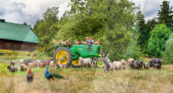 FEATURE -  'Farmily': Familienporträts mit Tieren 