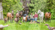 FEATURE -  'Farmily': Familienporträts mit Tieren 