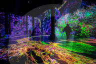 FEATURE - Die Schönheit von Mathematik, Natur und Architektur: Digitale Installation im New Yorker Artechouse