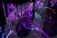 FEATURE - Die Schönheit von Mathematik, Natur und Architektur: Digitale Installation im New Yorker Artechouse