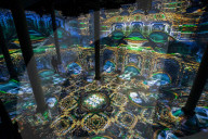 FEATURE - Die Schönheit von Mathematik, Natur und Architektur: Digitale Installation im New Yorker Artechouse