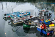 UK fisherman brexit betrayal over fishing rights