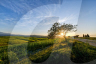 FEATURE - Weckt Reiseerinnerungen: Toskana im Herbst
