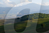 FEATURE - Weckt Reiseerinnerungen: Toskana im Herbst