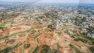 FEATURE - Farbpalette: Frühlingsfeld in Guangxi