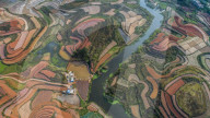 FEATURE - Farbpalette: Frühlingsfeld in Guangxi