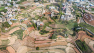 FEATURE - Farbpalette: Frühlingsfeld in Guangxi