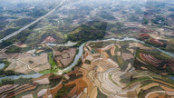 FEATURE - Farbpalette: Frühlingsfeld in Guangxi