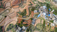 FEATURE - Farbpalette: Frühlingsfeld in Guangxi