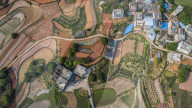 FEATURE - Farbpalette: Frühlingsfeld in Guangxi